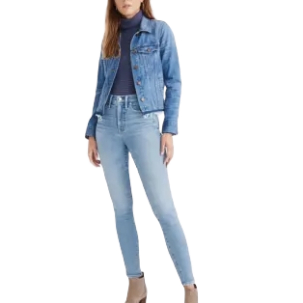Madewell 10" High Rise Skinny in Hamden Wash